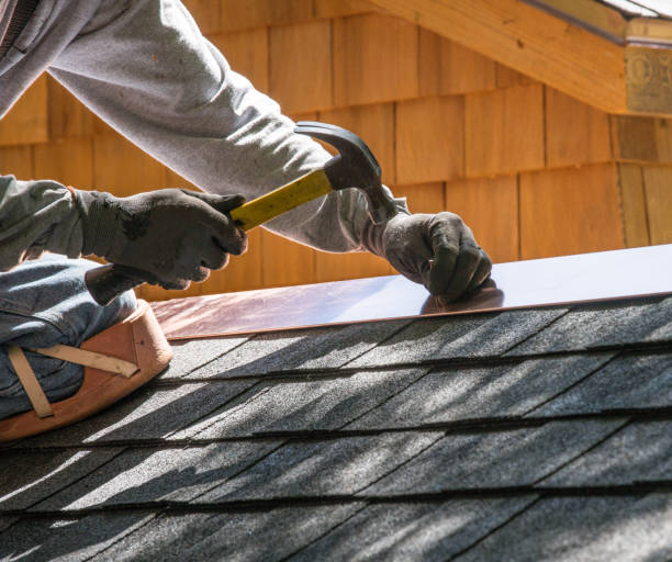 Best Roof Gutter Cleaning  in Fords, NJ